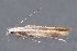  ( - MDOK-3576)  @12 [ ] Copyright (2010) Unspecified Unspecified