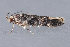  ( - MDOK-3135)  @12 [ ] Copyright (2010) Unspecified Unspecified