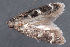  ( - MDOK-3144)  @12 [ ] Copyright (2010) Unspecified Unspecified
