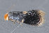  ( - MDOK-3596)  @11 [ ] Copyright (2010) Unspecified Unspecified