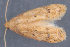  ( - MDOK-3163)  @12 [ ] Copyright (2010) Unspecified Unspecified