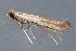  ( - MDOK-3613)  @12 [ ] Copyright (2010) Unspecified Unspecified