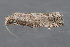  ( - MDOK-3218)  @13 [ ] Copyright (2010) Unspecified Unspecified