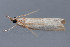  ( - MDOK-3225)  @12 [ ] Copyright (2010) Unspecified Unspecified