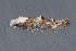  ( - MDOK-3622)  @13 [ ] Copyright (2010) Unspecified Unspecified