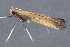  ( - MDOK-3625)  @12 [ ] Copyright (2010) Unspecified Unspecified