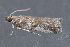  ( - MDOK-3263)  @13 [ ] Copyright (2010) Unspecified Unspecified