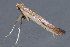  ( - MDOK-3626)  @12 [ ] Copyright (2010) Unspecified Unspecified