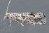  ( - MDOK-3266)  @12 [ ] Copyright (2010) Unspecified Unspecified