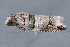 ( - MDOK-3631)  @12 [ ] Copyright (2010) Unspecified Unspecified