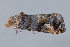 ( - MDOK-3283)  @12 [ ] Copyright (2010) Unspecified Unspecified
