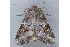  ( - MDOK-3295)  @13 [ ] Copyright (2010) Unspecified Unspecified