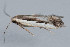  ( - MDOK-3319)  @12 [ ] Copyright (2010) Unspecified Unspecified