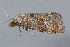  ( - MDOK-3338)  @12 [ ] Copyright (2010) Unspecified Unspecified