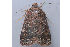  ( - MDOK-3340)  @13 [ ] Copyright (2010) Unspecified Unspecified