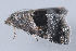  ( - MDOK-3357)  @12 [ ] Copyright (2010) Unspecified Unspecified