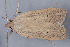  ( - MDOK-3375)  @13 [ ] Copyright (2010) Unspecified Unspecified