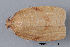  ( - MDOK-3425)  @12 [ ] Copyright (2010) Unspecified Unspecified