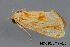  ( - MDOK-3428)  @12 [ ] Copyright (2010) Unspecified Unspecified