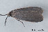  ( - MDOK-3445)  @12 [ ] Copyright (2010) Unspecified Unspecified