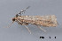 ( - MDOK-3454)  @12 [ ] Copyright (2010) Unspecified Unspecified