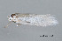  ( - MDOK-4010)  @12 [ ] CreativeCommons - Attribution (2010) CBG Photography Group Centre for Biodiversity Genomics