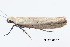  ( - BIOUG02920-B06)  @13 [ ] CreativeCommons - Attribution Non-Commercial No Derivatives (2012) Mark J. Dreiling Unspecified