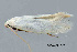  ( - BIOUG02924-G08)  @12 [ ] CreativeCommons - Attribution Non-Commercial No Derivatives (2012) Mark J. Dreiling Unspecified