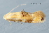  ( - MDOK-4458)  @12 [ ] CreativeCommons - Attribution Non-Commercial No Derivatives (2011) Mark J. Dreiling Unspecified