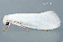  ( - MDOK-4473)  @12 [ ] CreativeCommons - Attribution Non-Commercial No Derivatives (2011) Mark J. Dreiling Unspecified
