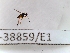  ( - CCDB-38859-E1)  @11 [ ] Creative common (2022) Marc Pollet Research Institute for Nature and Forest (INBO)