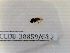  ( - CCDB-38859-G12)  @11 [ ] Creative common (2022) Marc Pollet Research Institute for Nature and Forest (INBO)