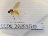  ( - CCDB-38859-H9)  @11 [ ] Creative common (2022) Marc Pollet Research Institute for Nature and Forest (INBO)