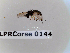  ( - BC-LPRCorse0144)  @11 [ ] Copyright (2019) Marc pollet Research Institute for Nature and Forest