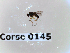  ( - BC-LPRCorse0145)  @11 [ ] Copyright (2019) Marc pollet Research Institute for Nature and Forest