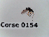  ( - BC-LPRCorse0154)  @11 [ ] Copyright (2019) Marc pollet Research Institute for Nature and Forest