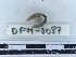  ( - DFM-0087)  @11 [ ] by-nc-sa (2027) Thibaud Decaëns Universite Montpellier, CEFE Lab