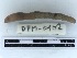  ( - DFM-0102)  @11 [ ] by-nc-sa (2042) Thibaud Decaëns Universite Montpellier, CEFE Lab