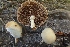  ( - LPRC5940)  @11 [ ] Copyright (2020) Nicolas Suberbielle Unspecified
