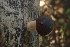  ( - LPRC5987)  @11 [ ] Copyright (2020) Nicolas Suberbielle Unspecified