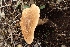  ( - LPRC7360)  @11 [ ] Copyright (2020) Nicolas Suberbielle Unspecified