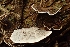  ( - LPRC5908)  @11 [ ] Copyright (2020) Nicolas Suberbielle Unspecified