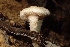  ( - LPRC5946)  @11 [ ] Copyright (2020) Nicolas Suberbielle Unspecified