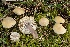  ( - LPRC5984)  @11 [ ] Copyright (2020) Nicolas Suberbielle Unspecified