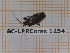  ( - BC-LPRCorse1254)  @11 [ ] by-sa - CreativeCommons (2020) Rodolphe Rougerie Muséum National d'Histoire Naturelle
