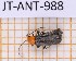  (Silis rogueti - JT-ANT-988)  @11 [ ] Creative common (2022) Julien Touroult Museum national d'Histoire naturelle, Paris