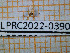  ( - LPRC2022-0390)  @11 [ ] CC-By (2022) Rodolphe Rougerie MNHN