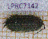  ( - LPRC7142)  @11 [ ] Copyright (2020) Franck Noel Unspecified