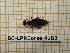  ( - BC-LPRCorse 4183)  @11 [ ] Copyright (2019) Rodolphe Rougerie Research Collection of Rodolphe Rougerie