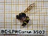  ( - BC-LPRCorse3503)  @11 [ ] Copyright (2019) Rodolphe Rougerie Museum national d'Histoire naturelle, Paris